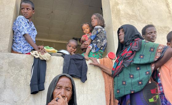 Ethiopie : l'ONU préoccupée par les affrontements dans la région d’Amhara et les détentions au Tigré